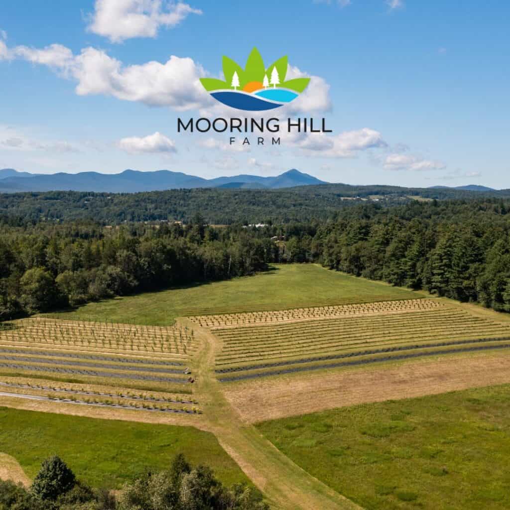 Scenic view of Mooring Hill Farm with fields and distant mountains.