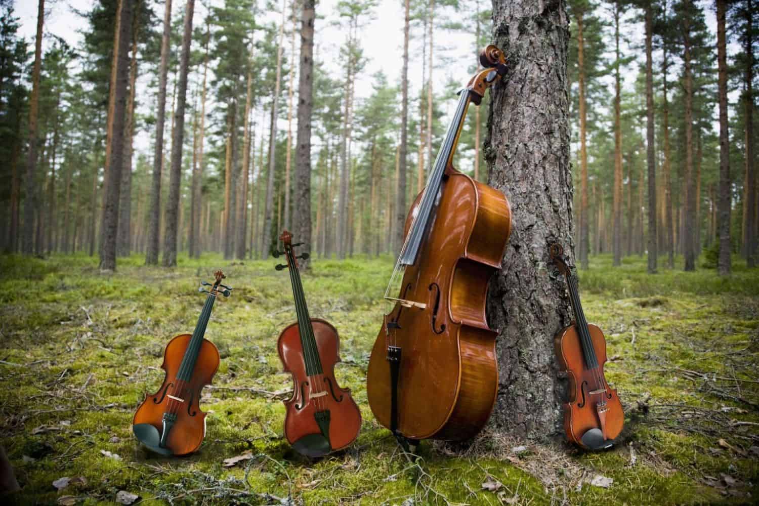 String instruments including a cello and violins leaning against a tree in a forest.