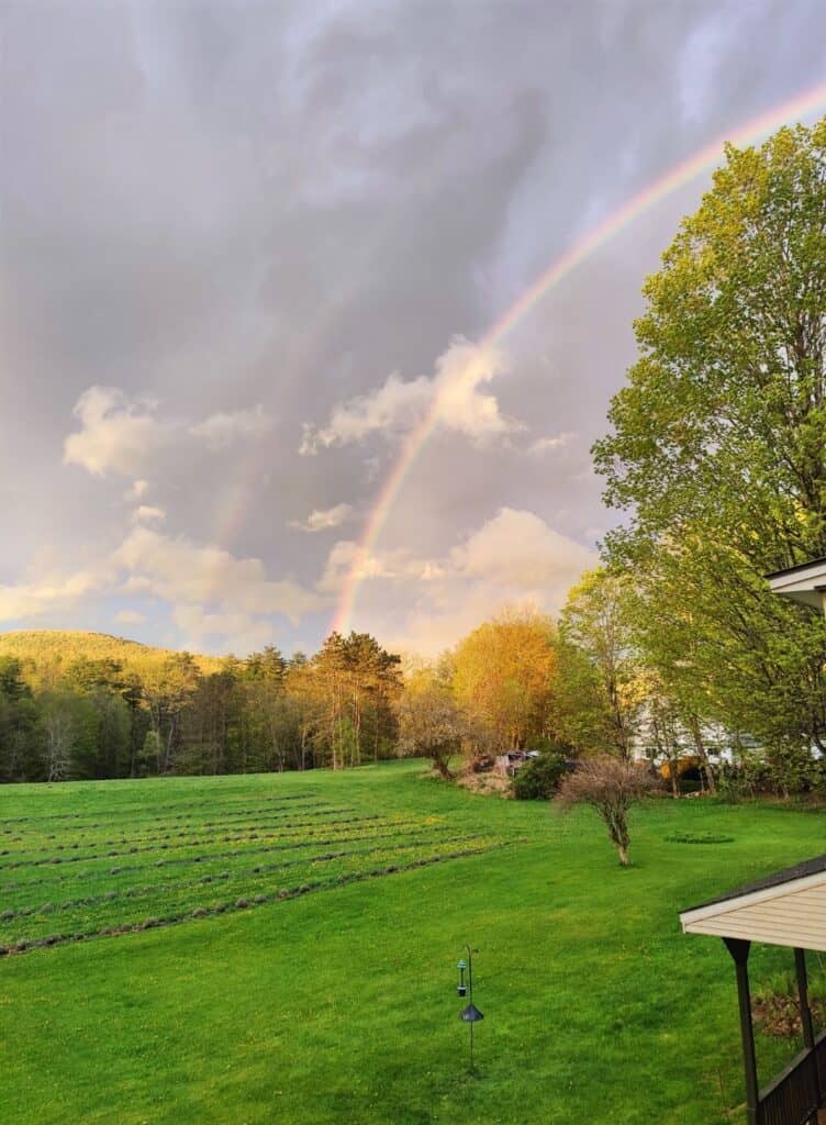 Rainbow over lush green fields and trees at Vermont Lavender Farm.