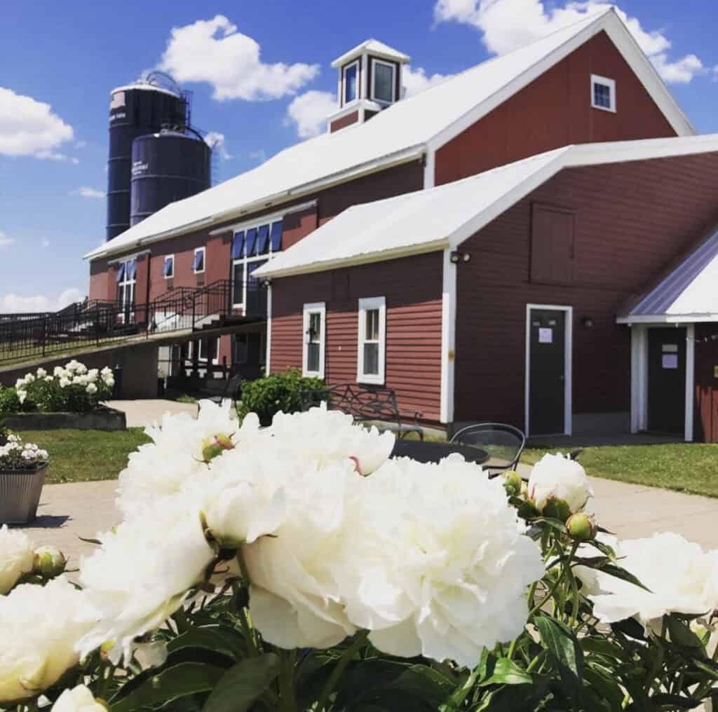 Historic barn at The Barn at Boyden Farm with flowers in foreground.